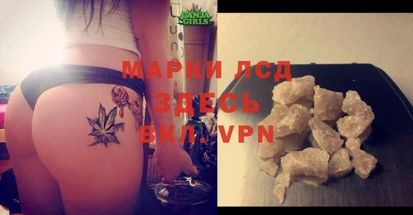 ешки Вязьма