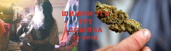 шишки Вязники
